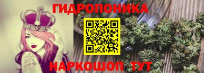 спиды Рязань