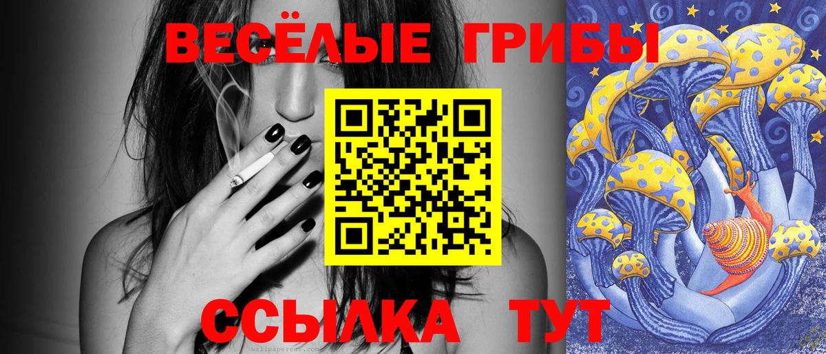 Псилоцибиновые грибы GOLDEN TEACHER Новозыбков