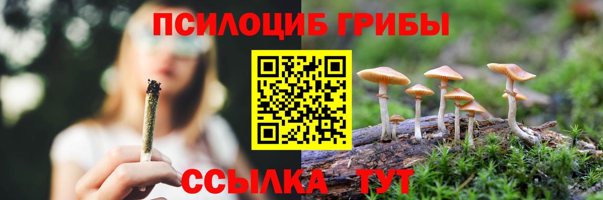 Псилоцибиновые грибы Psilocybe  Вход с VPN  Новозыбков  Псилоцибиновые грибы MAGIC MUSHROOMS 
